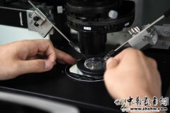 <b>全球男性精子量告急，近50年数量降幅超60%，可能还会继续下降</b>